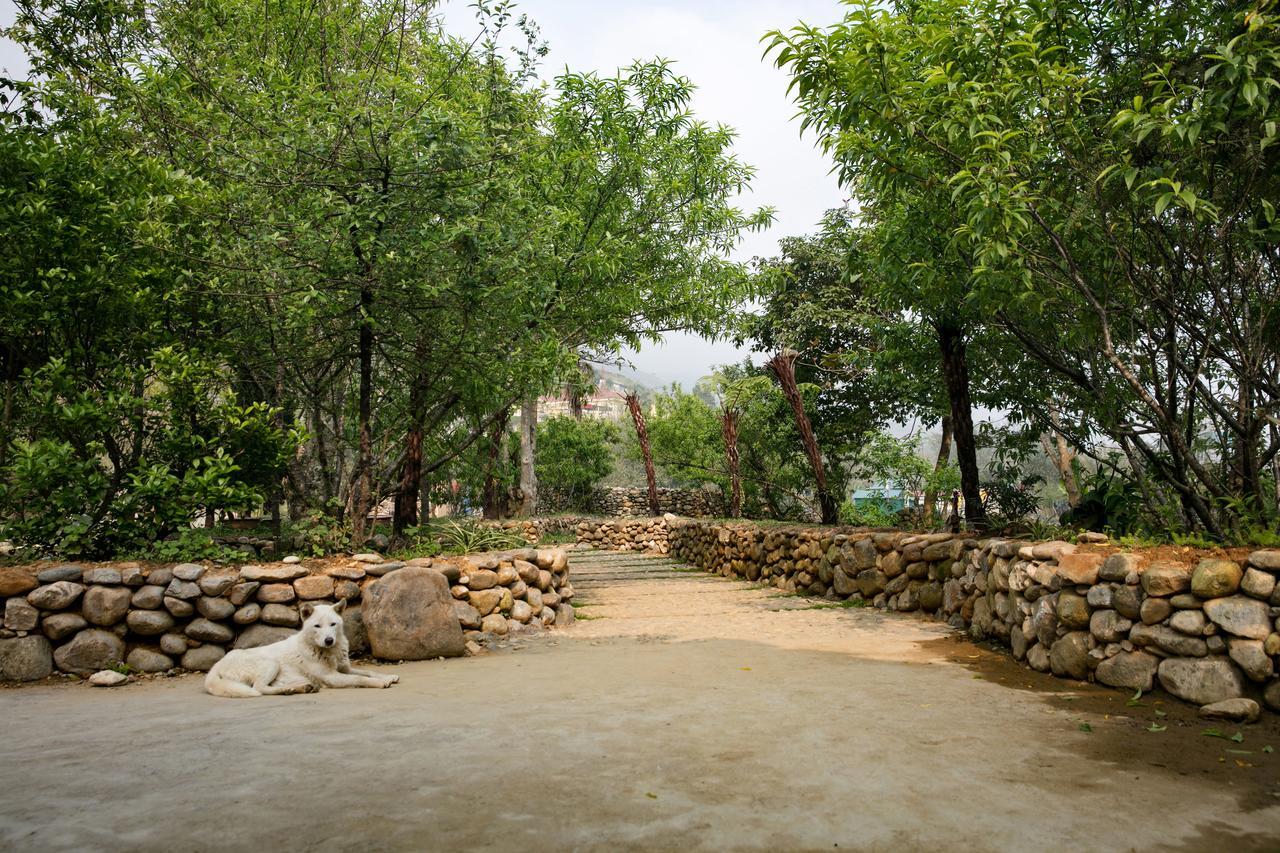 Tavan Riverside Ecolodge Sapa Exterior foto
